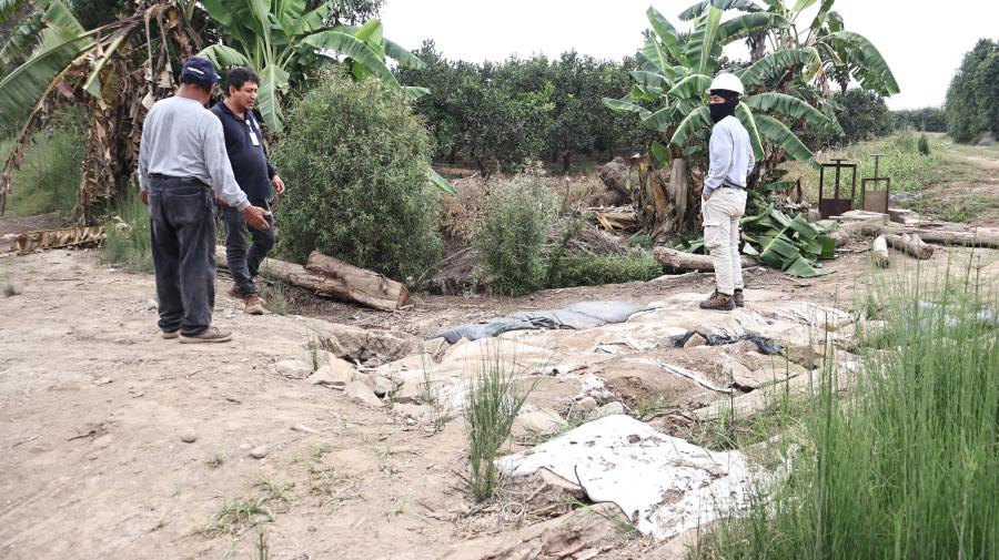 Inspecciones técnicas por parte de la Junta de Usuarios